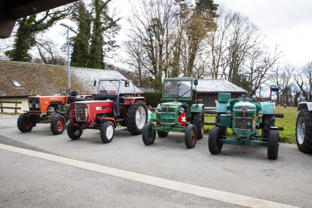 _mg_3405_web Jorat Mangez-moi